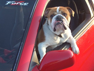 トップ画像 トップ画像