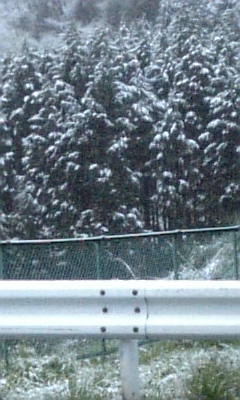 070419_03.jpg 070419_03.jpg